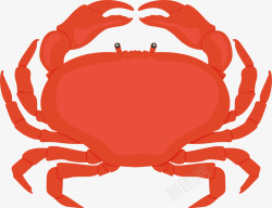 一只螃蟹世界海洋日红色面包蟹高清图片