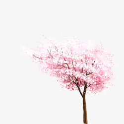卡通水彩樱花树素材