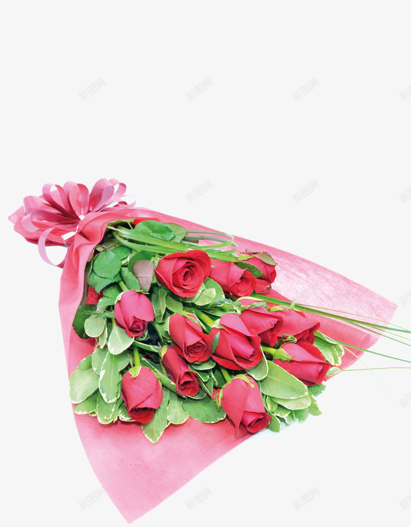 玫瑰画png免抠素材_新图网 https://ixintu.com 一束花 植物 红色 花朵 花瓣 鲜花