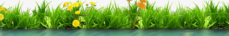 草丛psd免抠素材_新图网 https://ixintu.com 花草 草丛 草地