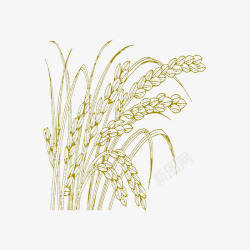 金色华丽花纹小麦手绘线稿图高清图片