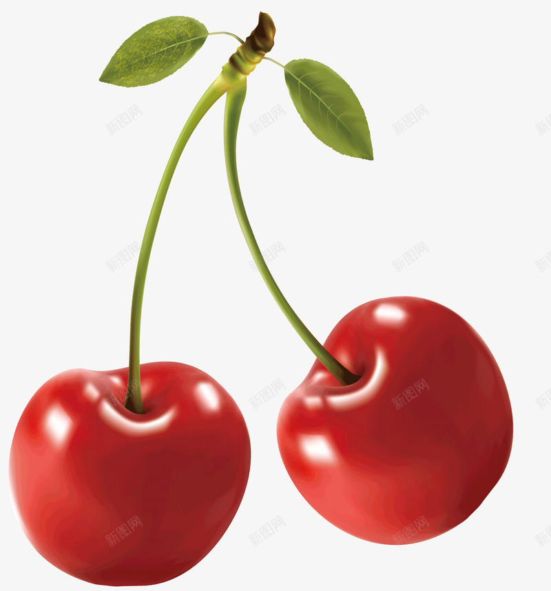 两个红色的樱桃png免抠素材_新图网 https://ixintu.com 图案 大樱桃 水果 红色的食物 绿色的叶子 绿色的根 食品
