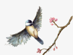 小鸟在桃花树枝上燕子高清图片