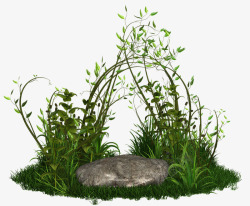 自然小草石头绿藤高清图片