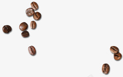 现磨咖啡免抠PNG散落的咖啡豆高清图片
