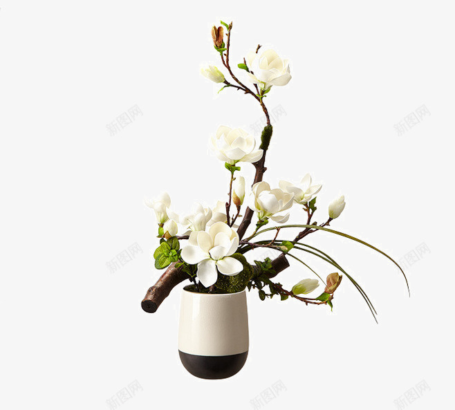 种着一朵鲜花的花瓶png免抠素材_新图网 https://ixintu.com 花瓶 鲜花