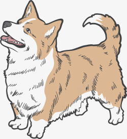 素描小狗卡通手绘仰头的黄色小狗高清图片