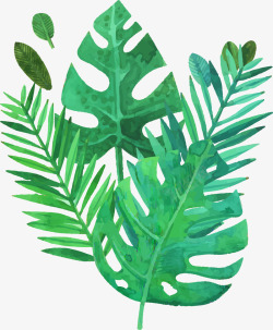 手绘洋槐树大叶植物装饰图案高清图片