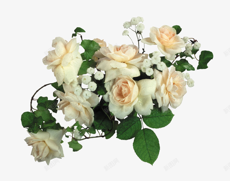 白色花朵png免抠素材_新图网 https://ixintu.com 叶子 玫瑰花 绿叶 花丛 花朵 花束 鲜花
