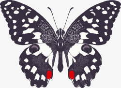 美丽昆虫卡通蝴蝶矢量图高清图片