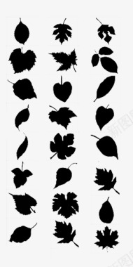 枫叶树不同形状叶子图标图标