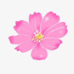 玫粉色大花朵素材