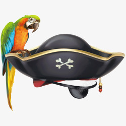 鹦鹉海盗落在帽子上的鹦鹉高清图片