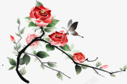 春季红色玫瑰蝴蝶素材