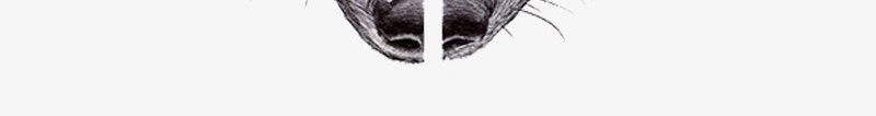 人狼拼图png免抠素材_新图网 https://ixintu.com PNG免费素材 创意 时尚 杂志内页设计 杂志创意设计 海报创意素材