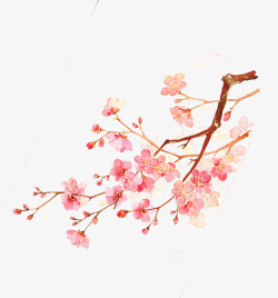 多彩花枝装饰画粉色树枝上的桃花高清图片