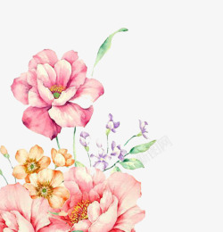 红花水彩手绘花装饰图案高清图片