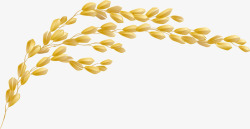 金色麦税丰硕的水稻颗粒图矢量图图标高清图片