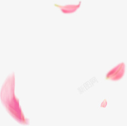 飘飞的粉色花瓣漂浮物高清图片