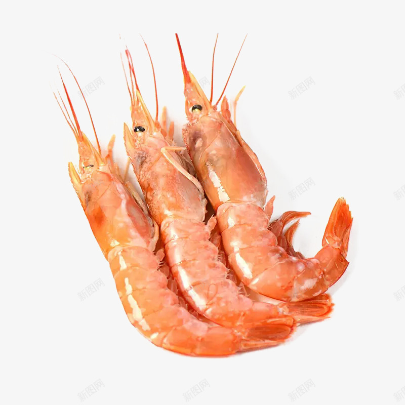 三只美味大虾png免抠素材_新图网 https://ixintu.com 大虾 海鲜 红色 美食 餐饮食材