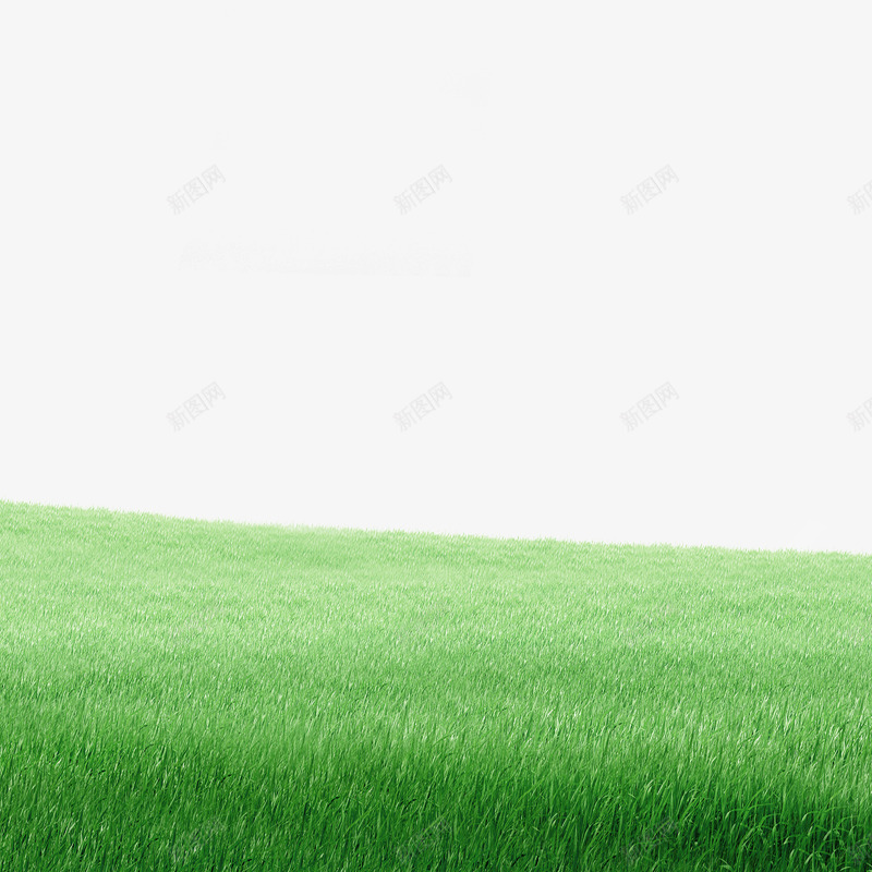绿色清新草地边框纹理png免抠素材_新图网 https://ixintu.com 免抠PNG 清新 绿色 草地 边框纹理