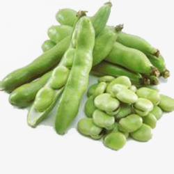 绿色蚕豆素材