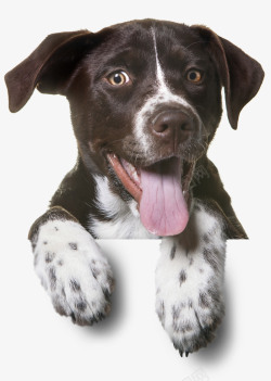 大嘴卡通吐舌头的狗高清图片