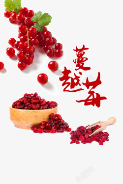 单色蔓越梅蔓越莓产品海报高清图片