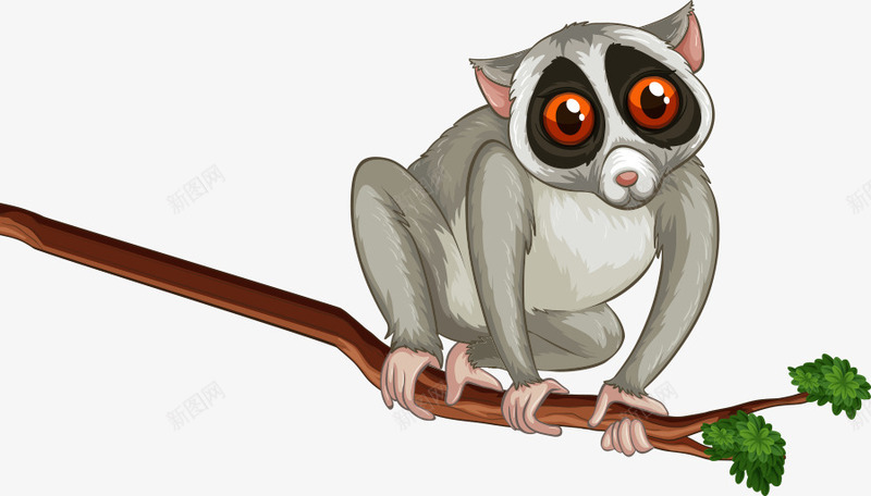 大眼猴动物卡通大眼睛png免抠素材_新图网 https://ixintu.com 亮晶晶的眼睛 动物 卡通 大眼猴 大眼睛
