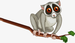 大眼猴戒指大眼猴动物卡通大眼睛高清图片