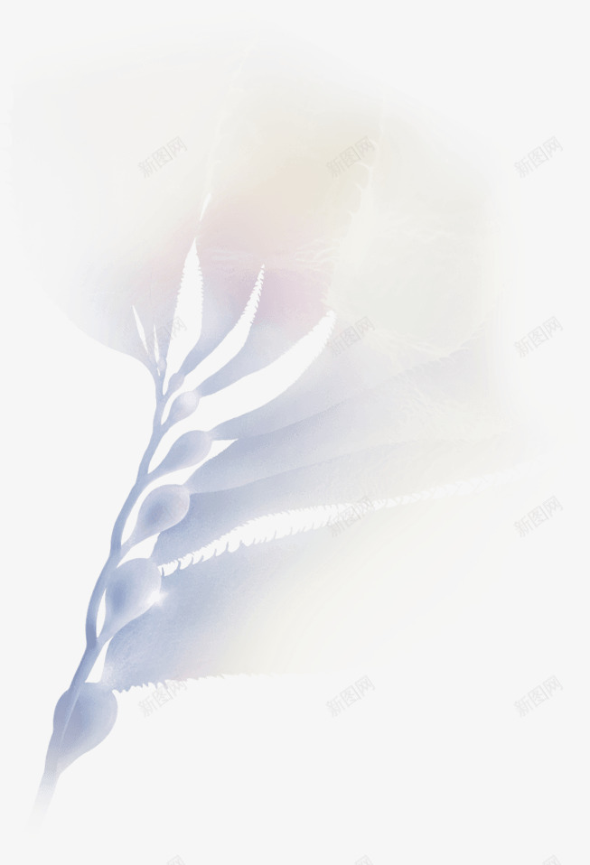乳白色花朵花骨朵花瓣png免抠素材_新图网 https://ixintu.com 乳白色 花朵 花瓣 花骨朵