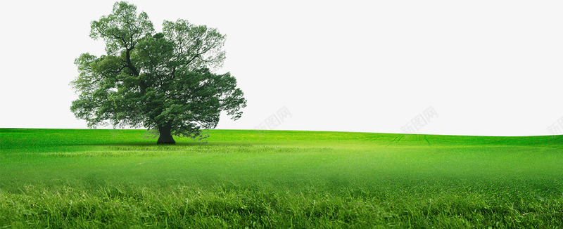 绿色草地上的大树png免抠素材_新图网 https://ixintu.com 大树 树 绿地 绿色草地 草地