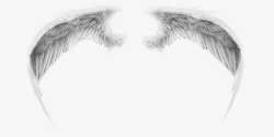 翅膀黑白色翅膀天使精灵装饰素材