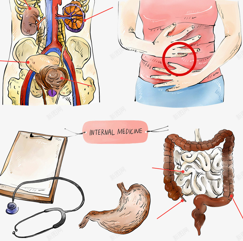 肠胃不适png免抠素材_新图网 https://ixintu.com 医疗插图 肠胃 胃疼 腹痛