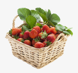 树草莓一篮子草莓高清图片