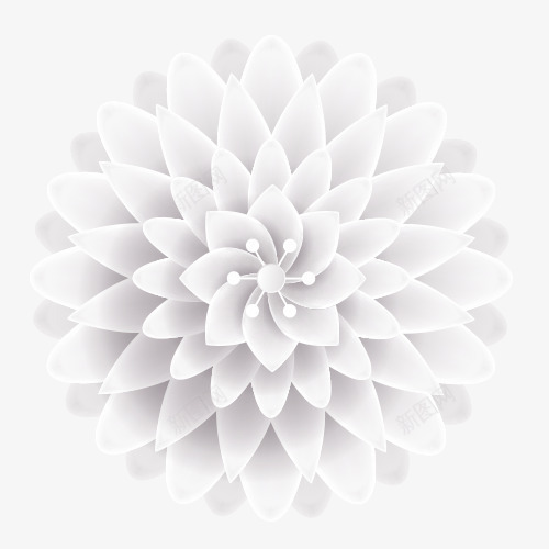 白色高洁装饰花卉png免抠素材_新图网 https://ixintu.com 唯美花卉 复杂 白色花瓣 精致花瓣 装饰图 设计图