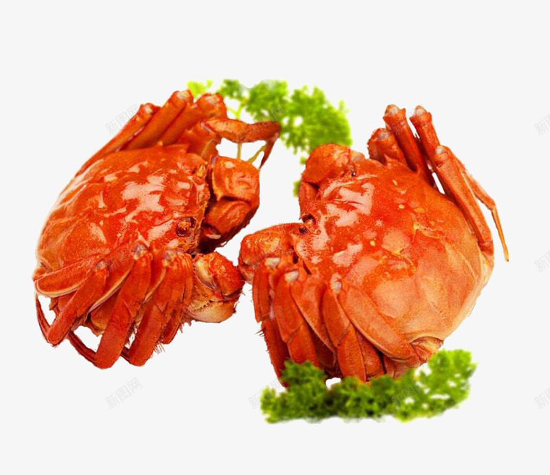 两只螃蟹png免抠素材_新图网 https://ixintu.com 产品实物 大闸蟹 海鲜 美食 螃蟹 蟹黄