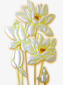 白睡莲花家和富贵白色睡莲花高清图片