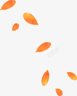 橙色简约花瓣漂浮素材