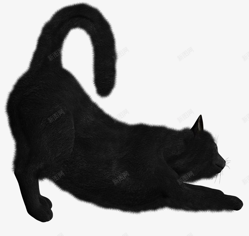 黑色的猫咪png免抠素材_新图网 https://ixintu.com 剪影 动物 水墨底图 水墨画猫 猫 黑色