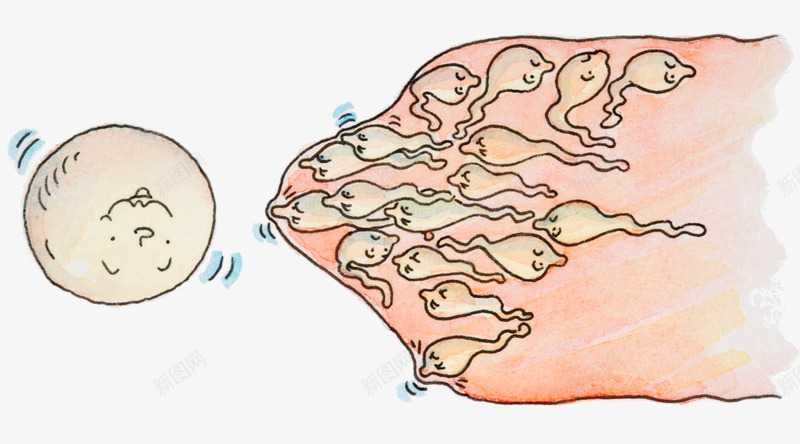 避孕插画png免抠素材_新图网 https://ixintu.com 卵子 精子 计划生育 避孕