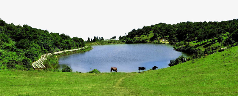 永泰青云山风景png免抠素材_新图网 https://ixintu.com 天池草甸 旅游风景 森林 湖泊 生态旅游区 福建省国家4A级景区 草甸 马匹