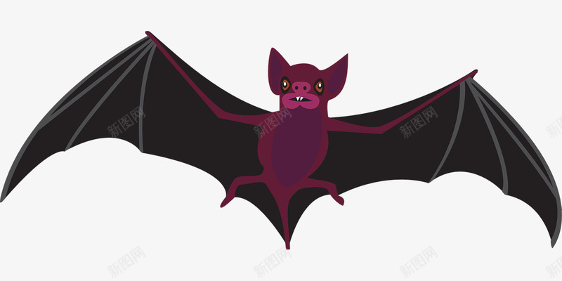 飞行的蝙蝠png免抠素材_新图网 https://ixintu.com 动物 蝙蝠 超声波 飞行