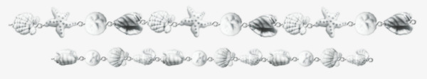 贝壳装饰线png免抠素材_新图网 https://ixintu.com 分割线 海星 装饰线 贝壳