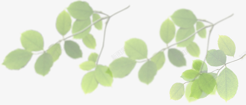 清新绿色春季植物装饰png免抠素材_新图网 https://ixintu.com 春季 植物 清新 绿色 装饰