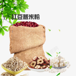 红豆树叶红豆薏米高清图片