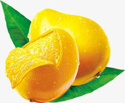 水滴水果绿叶上新鲜的芒果高清图片