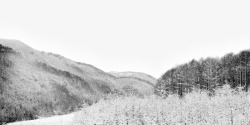 北国林海雪原图高清图片