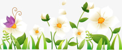 春季白色小花蝴蝶植物素材