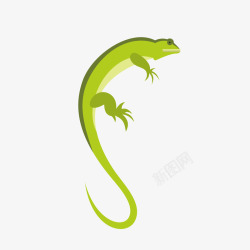 弯曲尾巴绿色蜥蜴矢量图高清图片